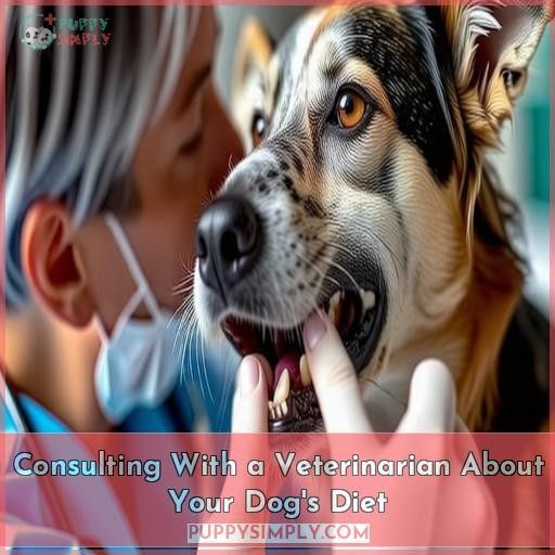 Consulting With a Veterinarian About Your Dog