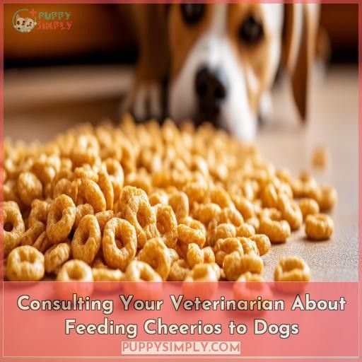 Consulting Your Veterinarian About Feeding Cheerios to Dogs