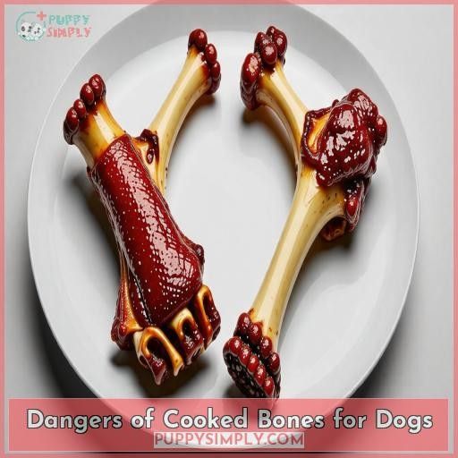 Dangers of Cooked Bones for Dogs