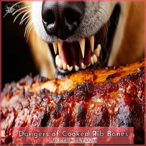 Dangers of Cooked Rib Bones