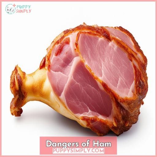 Dangers of Ham