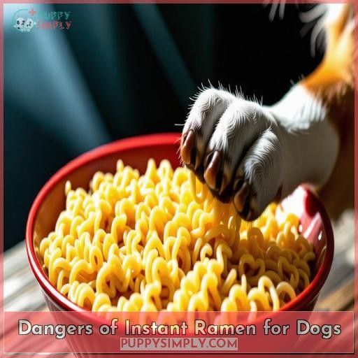 Dangers of Instant Ramen for Dogs