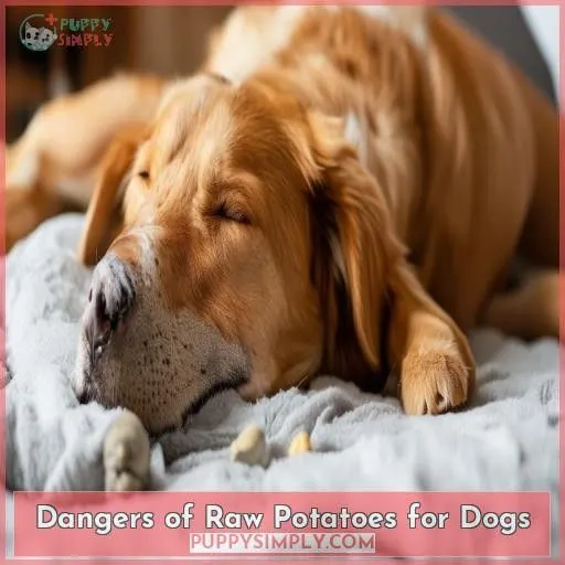 Dangers of Raw Potatoes for Dogs