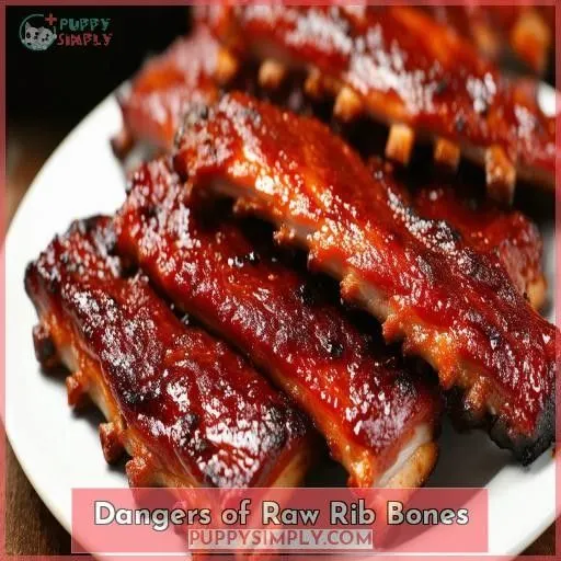 Dangers of Raw Rib Bones