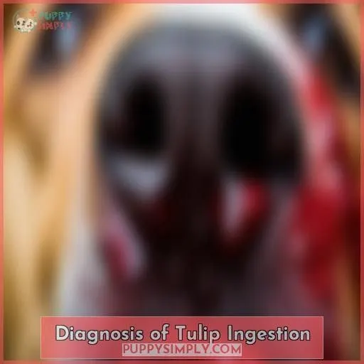 Diagnosis of Tulip Ingestion