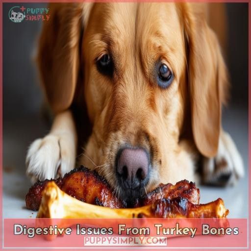 Digestive Issues From Turkey Bones