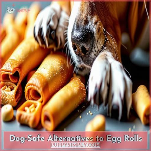 Dog-Safe Alternatives to Egg Rolls