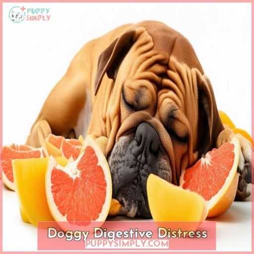 Doggy Digestive Distress