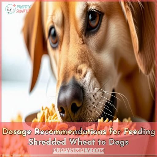 Dosage Recommendations for Feeding Shredded Wheat to Dogs