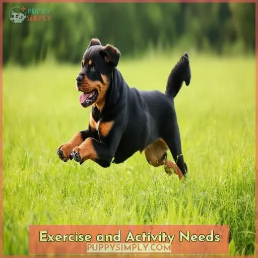 Exercise and Activity Needs