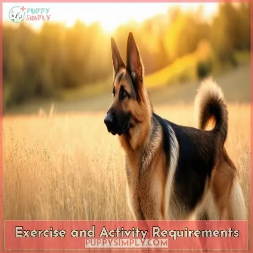 Exercise and Activity Requirements