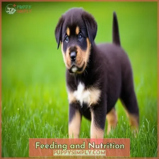 Feeding and Nutrition