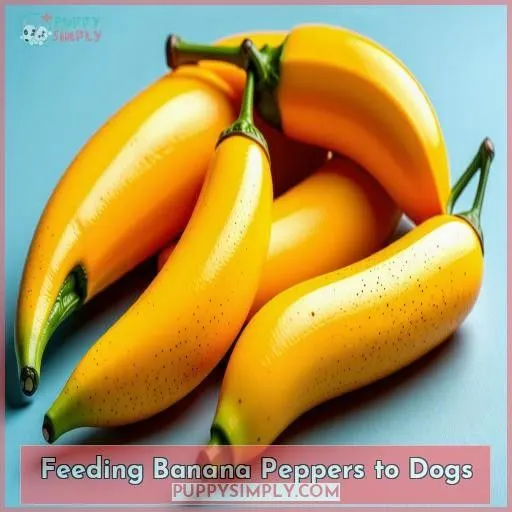 Feeding Banana Peppers to Dogs