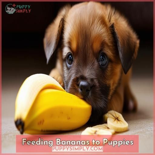 Feeding Bananas to Puppies