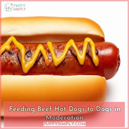 Feeding Beef Hot Dogs to Dogs in Moderation