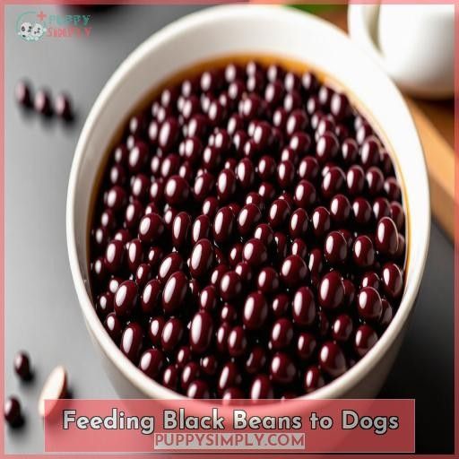 Feeding Black Beans to Dogs