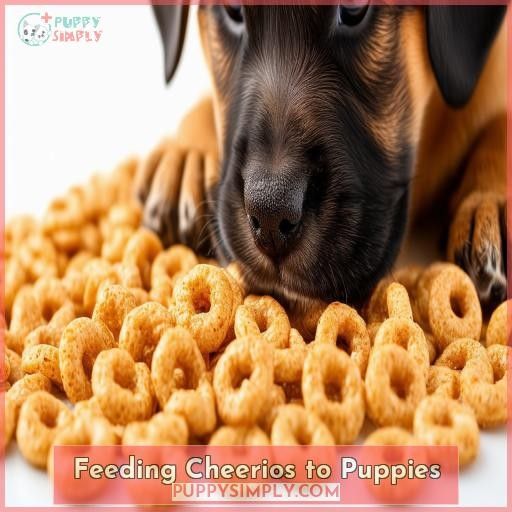 Feeding Cheerios to Puppies