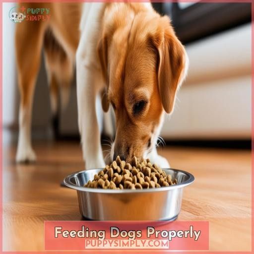 Feeding Dogs Properly