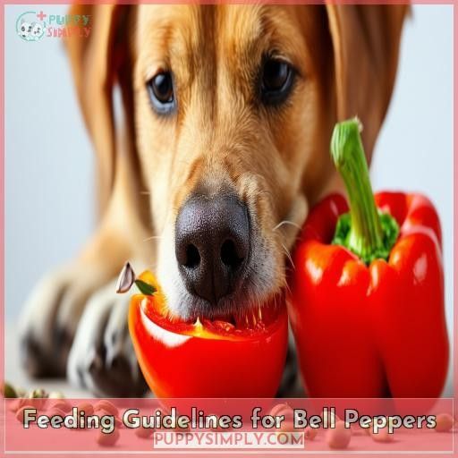 Feeding Guidelines for Bell Peppers