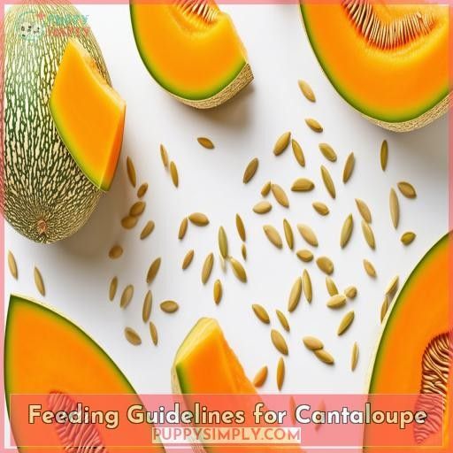Feeding Guidelines for Cantaloupe