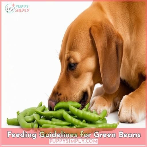 Feeding Guidelines for Green Beans