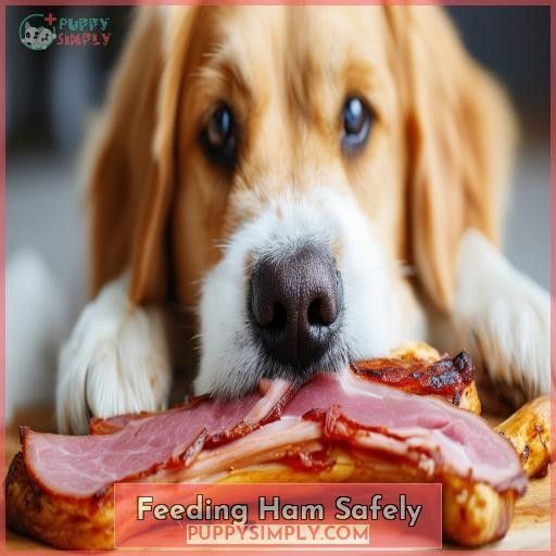 Feeding Ham Safely