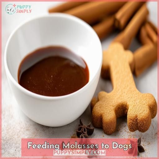 Feeding Molasses to Dogs