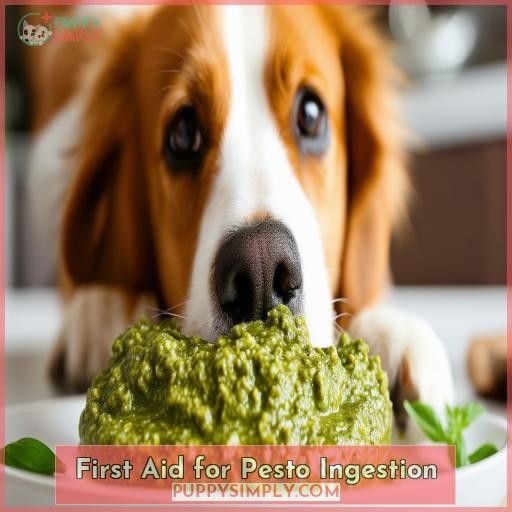 First Aid for Pesto Ingestion