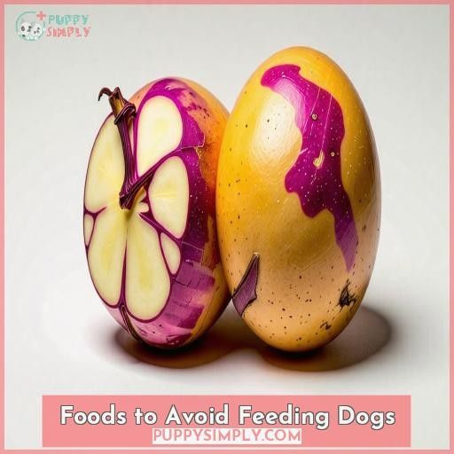 Foods to Avoid Feeding Dogs