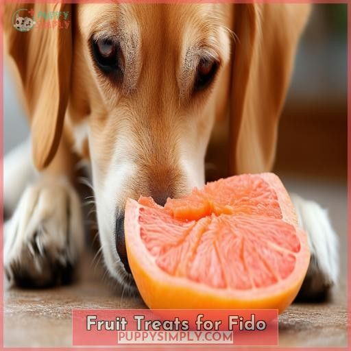 Fruit Treats for Fido