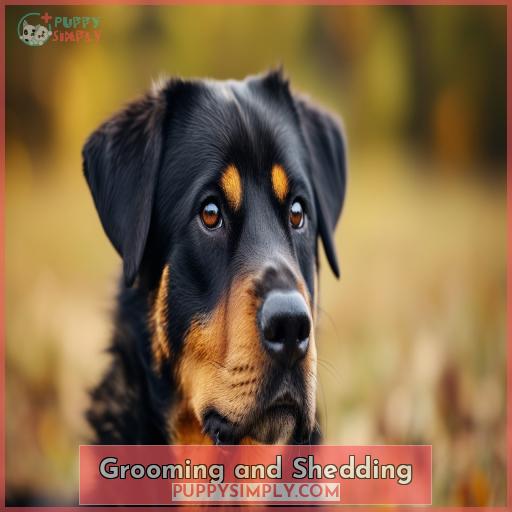 Grooming and Shedding