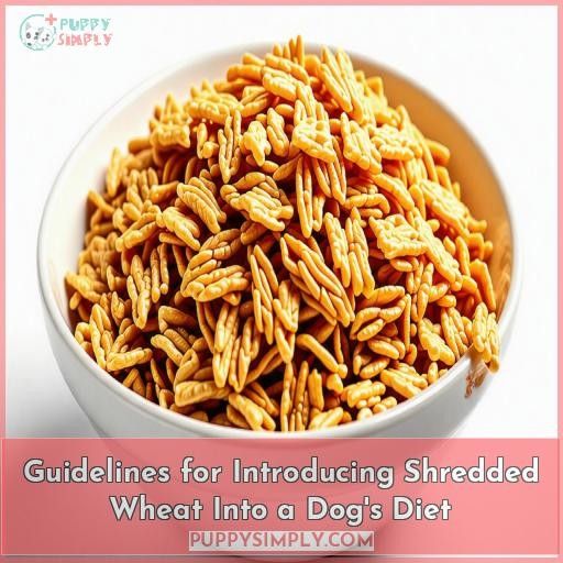 Guidelines for Introducing Shredded Wheat Into a Dog