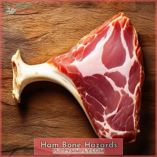 Ham Bone Hazards