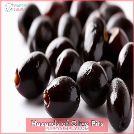 Hazards of Olive Pits