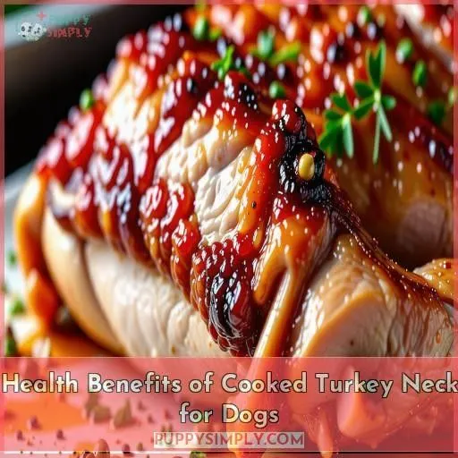 Health Benefits of Cooked Turkey Neck for Dogs