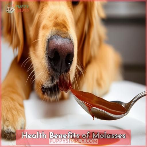 Health Benefits of Molasses