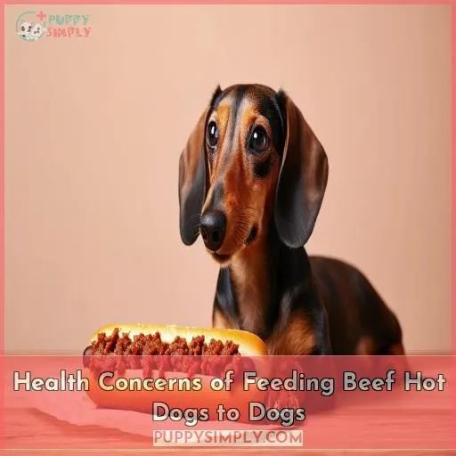 Health Concerns of Feeding Beef Hot Dogs to Dogs