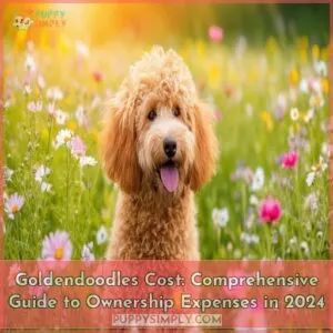 how much do goldendoodles cost
