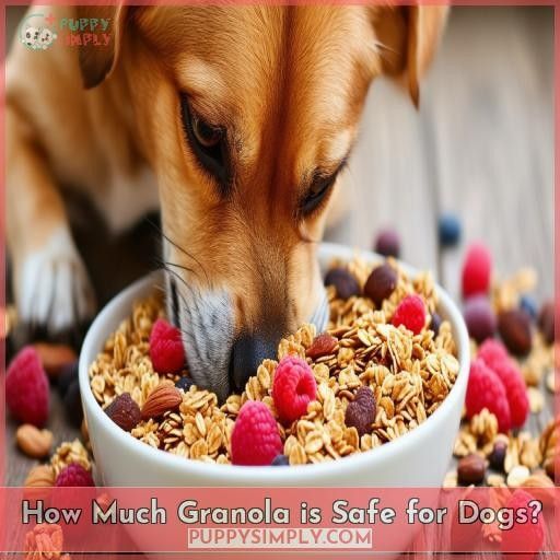 How Much Granola is Safe for Dogs