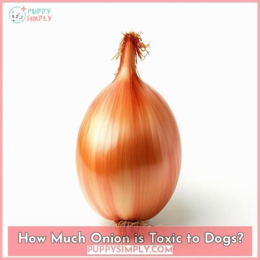 How Much Onion is Toxic to Dogs