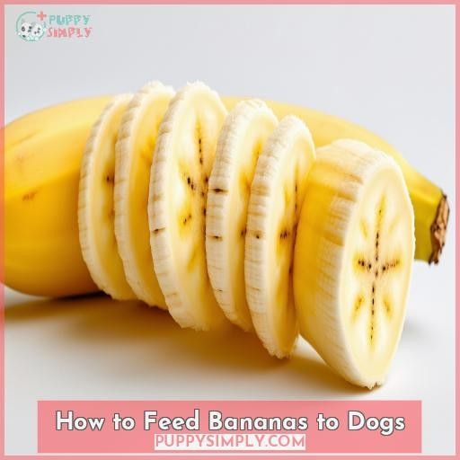 How to Feed Bananas to Dogs