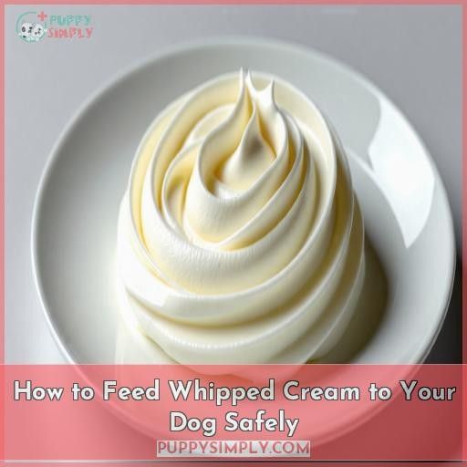 How to Feed Whipped Cream to Your Dog Safely