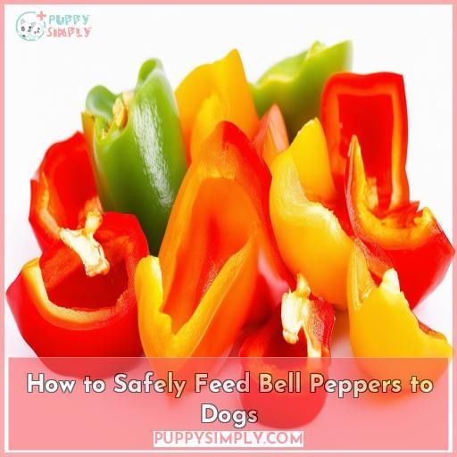 How to Safely Feed Bell Peppers to Dogs
