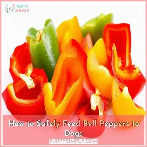 How to Safely Feed Bell Peppers to Dogs