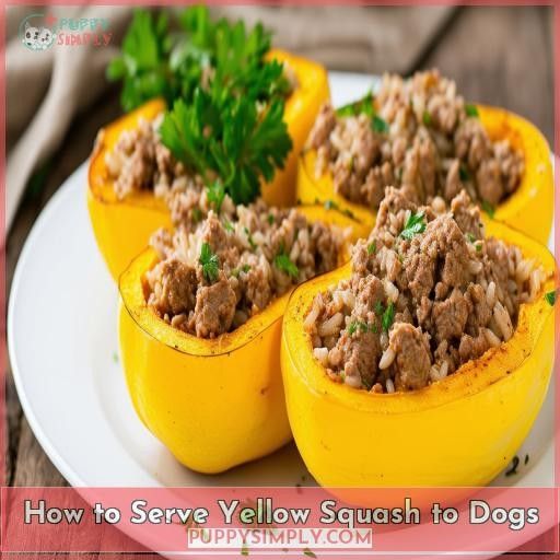 How to Serve Yellow Squash to Dogs