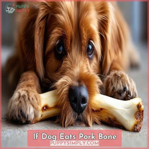 If Dog Eats Pork Bone