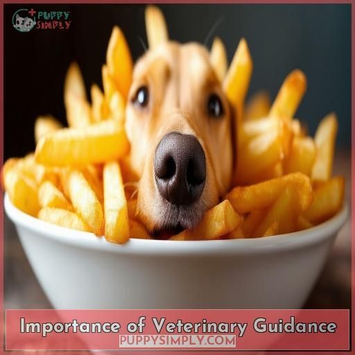 Importance of Veterinary Guidance