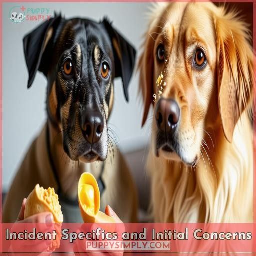 Incident Specifics and Initial Concerns