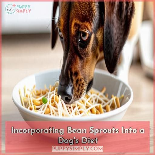 Incorporating Bean Sprouts Into a Dog