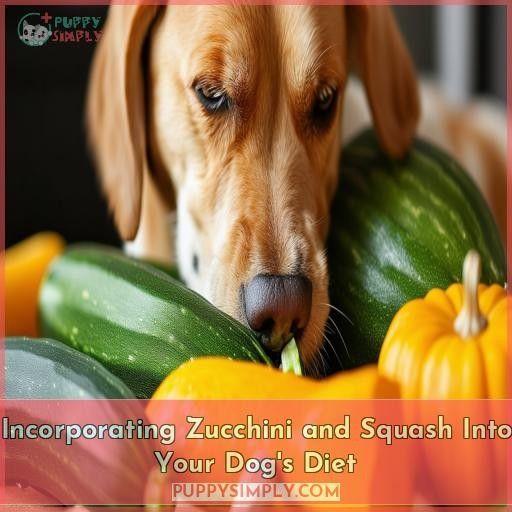 Incorporating Zucchini and Squash Into Your Dog